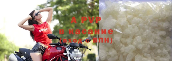 сатива Верея