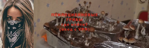 стафф Бугульма