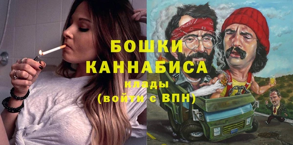 сатива Верея